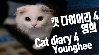 Cat Diary 4 Adopting Munchkin Younghee.