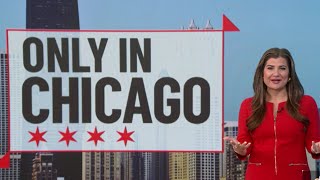 Only in Chicago: Flag meaning, iconic jingles, hot dogs, Michael Jordan, tulips, river dye & MORE!