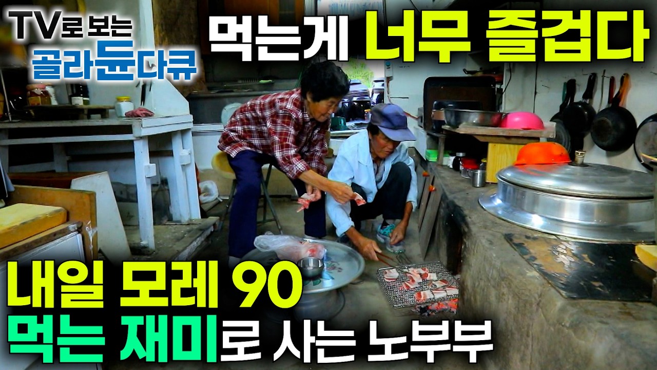 ✨한국기행 시골 노부부 모음✨ 인생의 황혼기 우리는 놀고, 먹는 재미로 산다!｜80대 시골 노부부가 사는 법｜한국기행｜#골라듄다큐