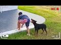 Caught in 4K! Funniest Security Camera Fails