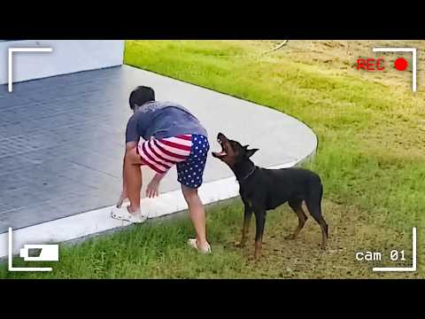 Caught in 4K! Funniest Security Camera Fails