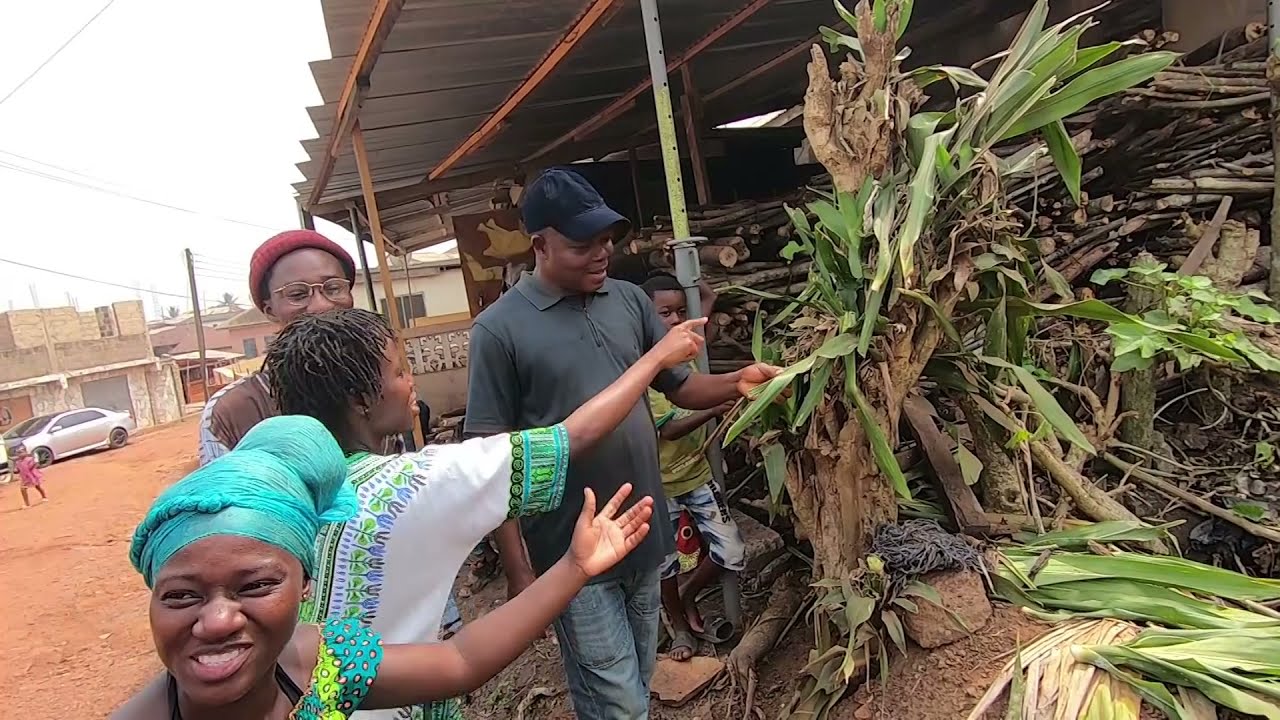 Akuapem Mampɔn Nature Walk and Plant Identification with Abusuapanin
