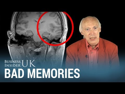 Video: Japanese Scientists Have Created A Unique Laser That Erases Bad Memories From Memory - Alternative View