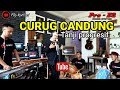 CURUG CANDUNG versi TANJI PROGRESIF - Ina salsa || fily kurcaci musik