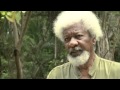 Africa ... States of Independence - Interview: Wole Soyinka