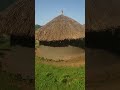 Traditional African Grass-Thatched House 🏡