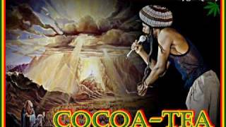 Watch Cocoa Tea Holy Mount Zion video