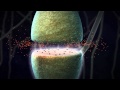 Chemical synapse animation