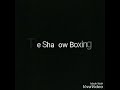 The shadow boxing by djibouti boxe mixte team