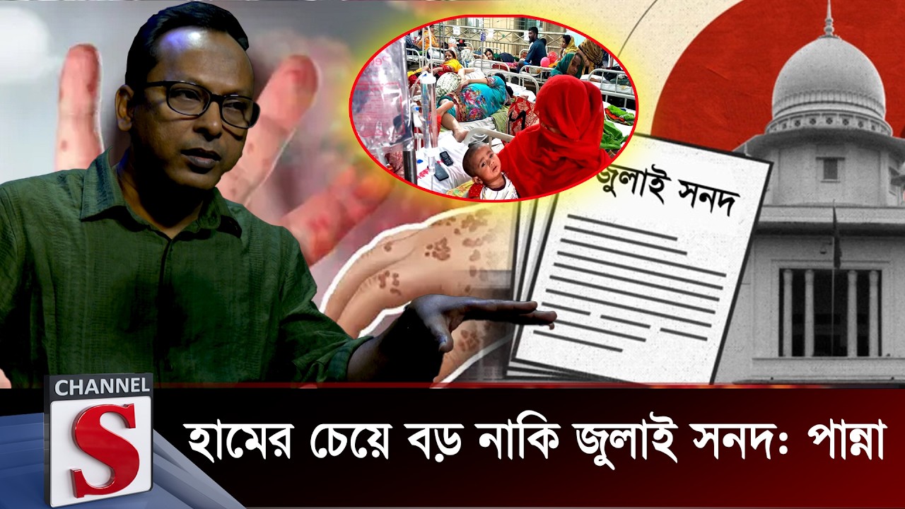 হামের চেয়ে বড় নাকি জুলাই সনদ: পান্না  | Monjurul Alam Panna | Channel S