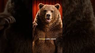 A kérdés ritkán a sebesség ⏳🏃 #comedy #medve #magyarhumor #standupcomedy 🌦️🌲🍎🐻