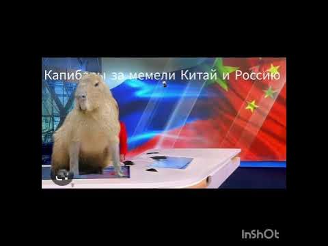 капебара - YouTube