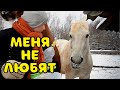 КУПИЛИ ДОМ В ДЕРЕВНЕ. ЗИМНИЙ ДЕНЬ В ДЕРЕВНЕ, ДЕРЕВЕНСКИЕ БУДНИ