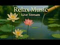Deep Relaxation – Calm Your Mind with Soothing Music