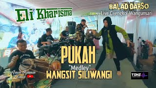 Eli Kharisma - PUKAH - Medley Wangsit Siliwangi || Balad Live Wangunsari