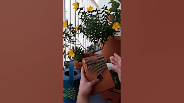 Noble Maiden Fair (A Mhaighdean Bhan Uasal) Kalimba Cover