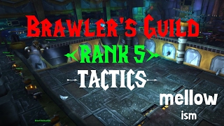 Brawler's Guild - Rank 5 -=TACTICS=-