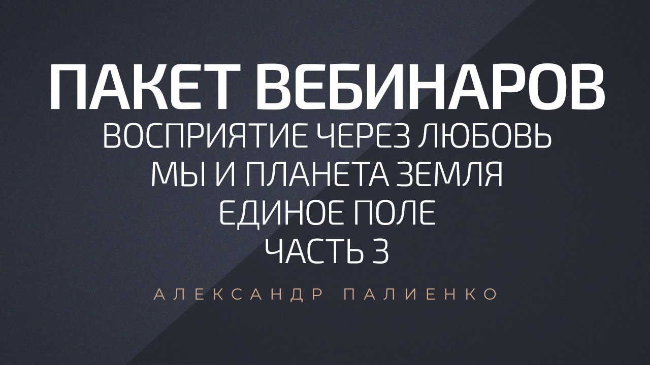 Пакет три вебинара по цене одного. Александр Палиенко.