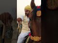 Saye Kollo Baba Urs Horse Riding Desi Neza Bazi Horse Race Kullo Baba Mazaar 
