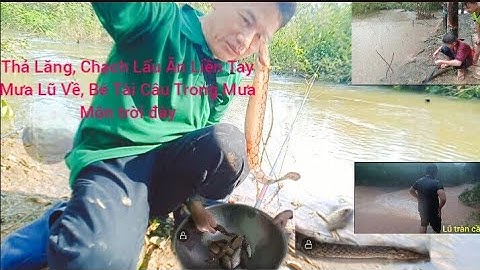 Thả Lăng, Chạch Lấu Ăn Liền Tay, Lũ Tràn Về,Cậu Bé Câu Trong Mưa