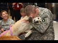 Military Homecoming Surprises Compilation 2017
