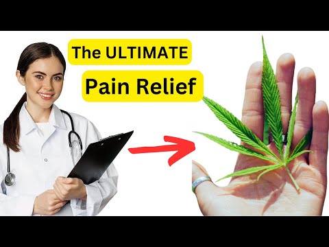 Beyond the Gummy: Exploring Other CBD Formulations