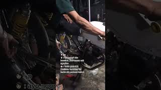 Story Herex Tiger Herex Ayo Ngopii