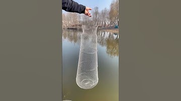 TOP 1 Rộng Đựng Cá, Giỏ Đựng Cá INOX 1M2 Gấp Gọn Chống Gỉ, Siêu Bền 2026 #shorts  #fishing