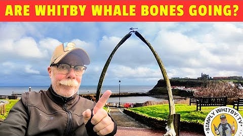COULD THIS BE THE END FOR THE ICONIC WHITBY WHALE BONES?