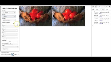 CSC 562 Project Part 1: Painterly Rendering