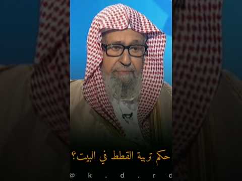 حكم تربية القطط في البيوت