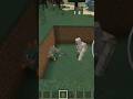 Minecraft Golam fight 🔥🤯