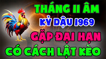 Kỷ Dậu 1969 Gặp Đại Hạn Tháng 11 Âm 2025. KHÔNG LO, CÓ CÁCH LẬT KÈO