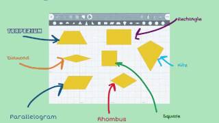 All About 2D Shapes by Year 3!