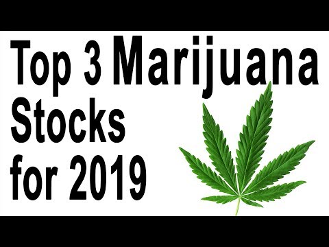 This Is the Top Marijuana Stock to Buy in August