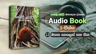 මෛත්‍රී බෝධි පොත - මහා ඥාන දර්ශනය -  මනස කෙලෙස් සහ සිත