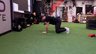Quadruped - K Pulley - Single Arm - Hover - Row