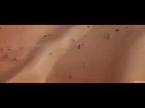 ريما يوسف اغنيت نسيني حالي  