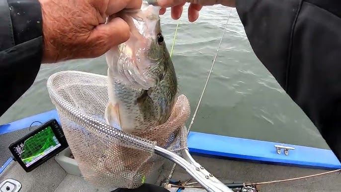 How to Troll Crankbaits for Summer/Fall Crappie! 