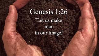 The Creation week and DNA in the Book of Genesis