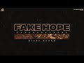 Fake hope official visual  ricky saggu  latest punjabi songs 2022  alpina records