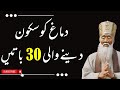 Dimag ko sakoon dayne wali batin  quotes and facts  toqeer diary