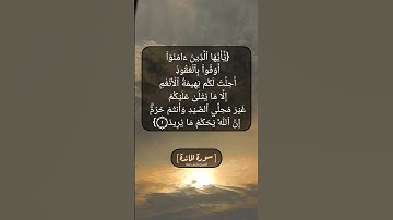 سورة المائدة الآية ١ بصوت الشيخ فارس عباد