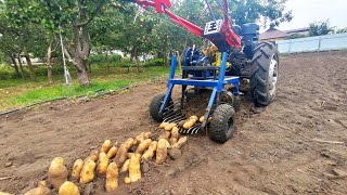 POTATO DIGGER is no longer a “BULLDOZER”. POTATOES as 'BANANA'