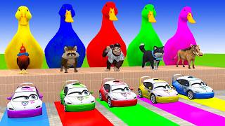 Long Slide Game With Chicken Monkey Dog Wild Boar Weasel 3d Animal Game Funny 3d Animals screenshot 4