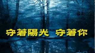 守著陽光守著你