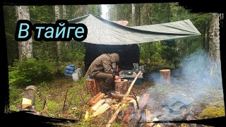 видео: 4 МЕСЯЦА В ТАЙГЕ.  БОЛЬШОЙ ФИЛЬМ. (1/2) картинка: 4 МЕСЯЦА В ТАЙГЕ.  БОЛЬШОЙ ФИЛЬМ. (1/2)