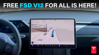 I finally got FREE Tesla FSD v12.3.2.1 (Full Self-Driving) for 1 Month / Nerve-Racking FSD Test!