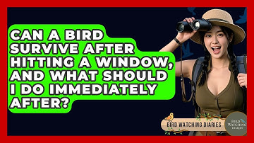 Can A Bird Survive After Hitting A Window, And What Should I Do Immediately After?