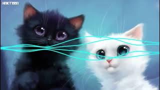 A Y Mạc (Remix Tiktok V2) (越南鼓版)   - Tổ Hợp A Cát Thái